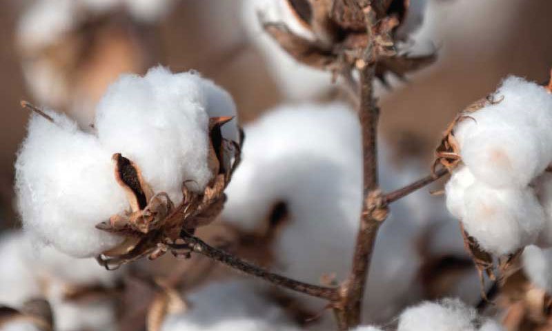 Reduce your footprint