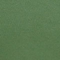 Elm Green