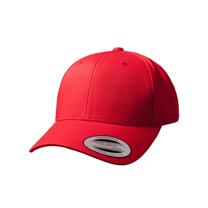 Curved Classic Snapback