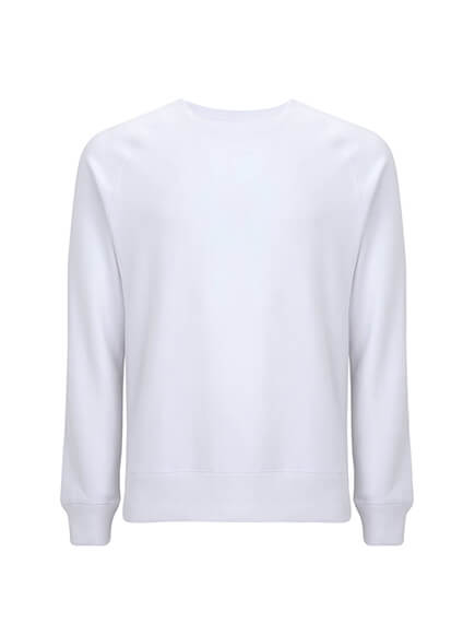 Raglan Sweatshirt